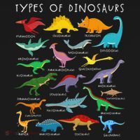 Types Of Dinosaurs Alphabet A-Z ABC Dino Identification T-Shirt thumb 7