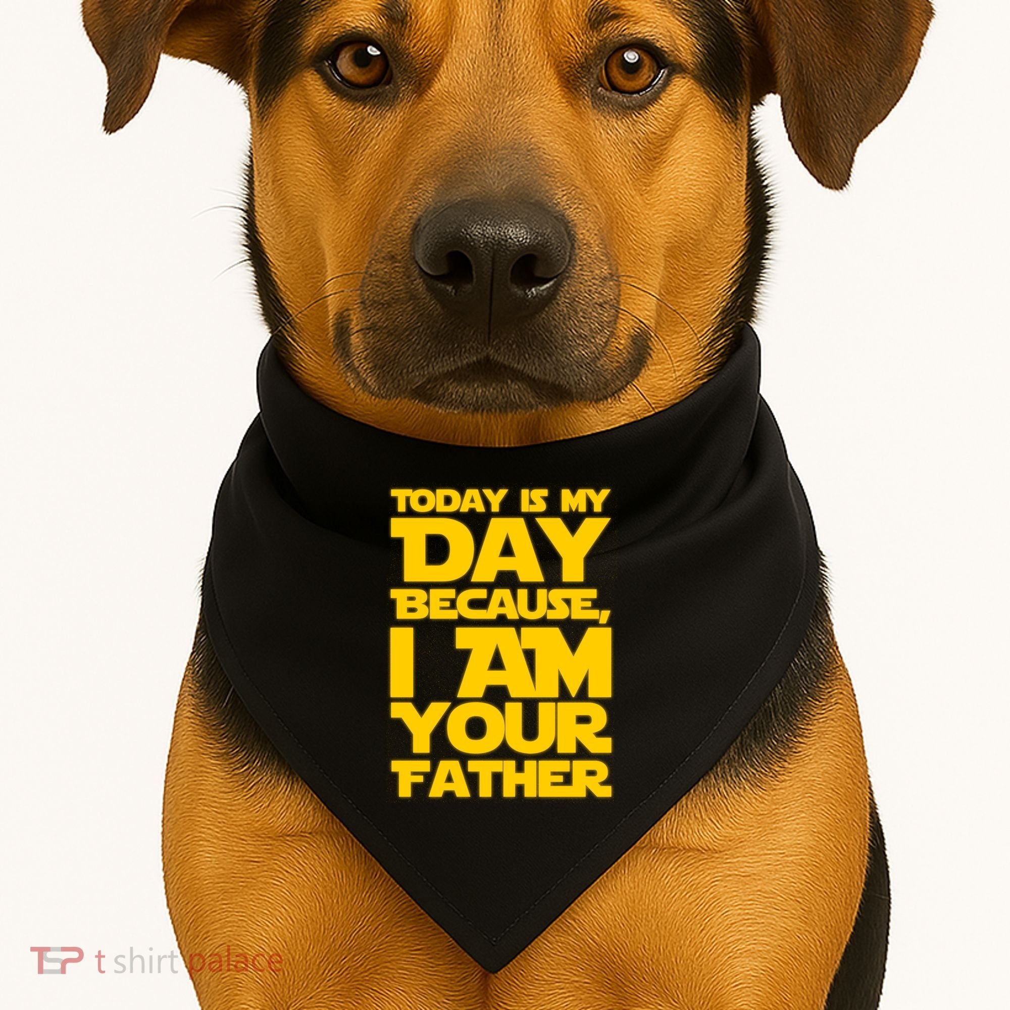 Today Is My Day Because I Am Your Father USA-Made Doggie Bandana