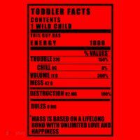Toddler Nutrients Facts Santa Hat thumb 1