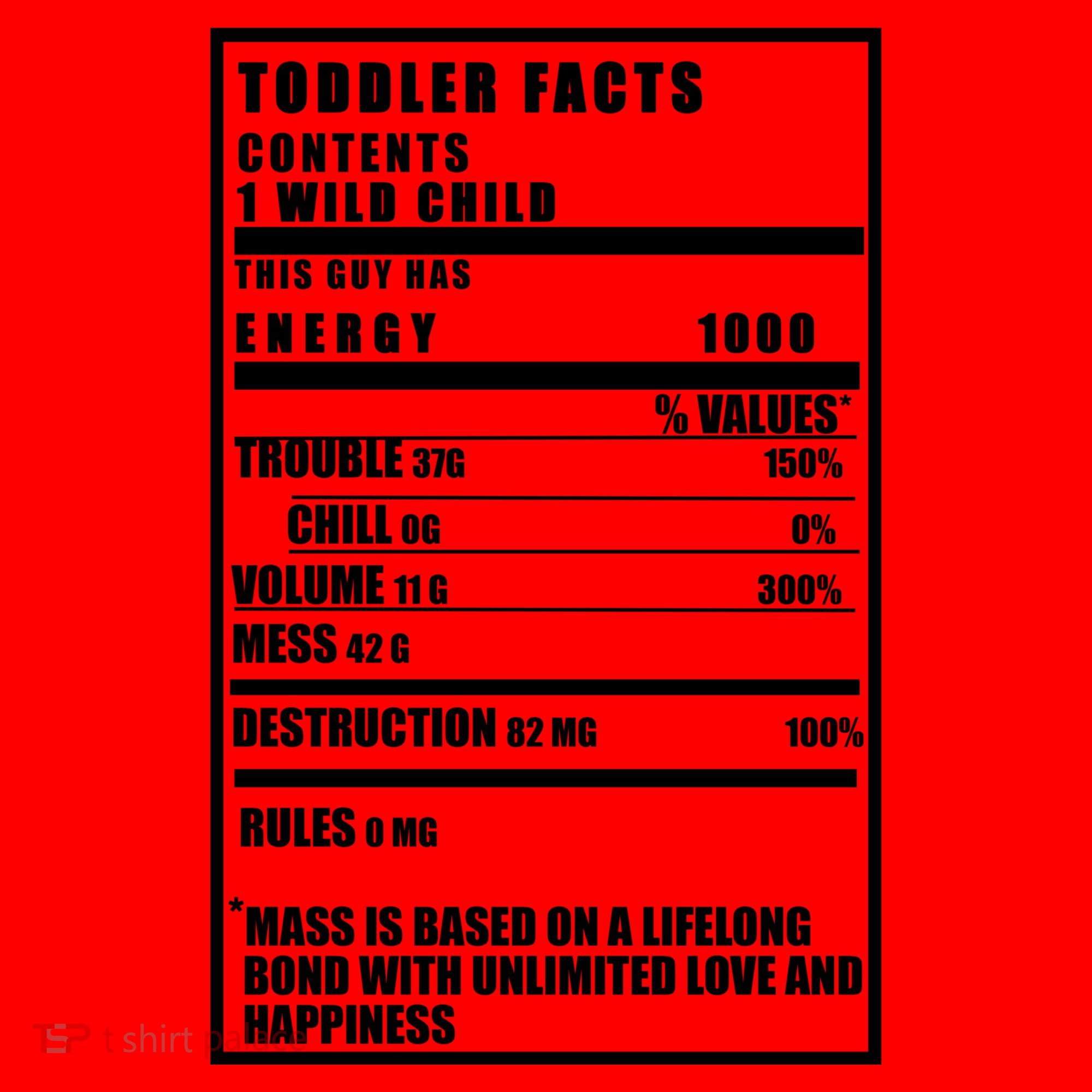 Toddler Nutrients Facts Santa Hat