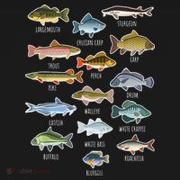 Types Of Freshwater Fish Species Fishing T-Shirt thumb 7