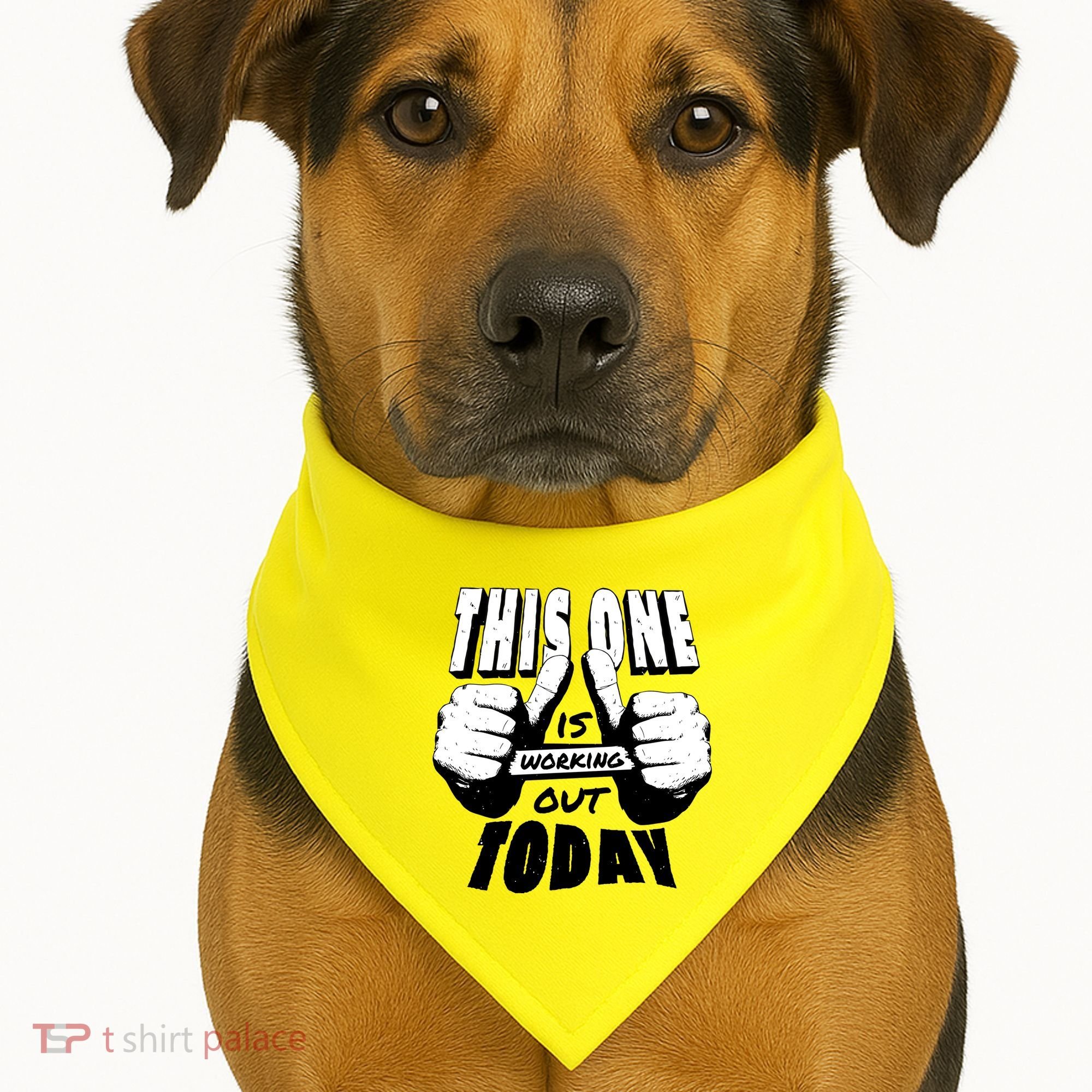 This One Is Working Out Today USA-Made Doggie Bandana