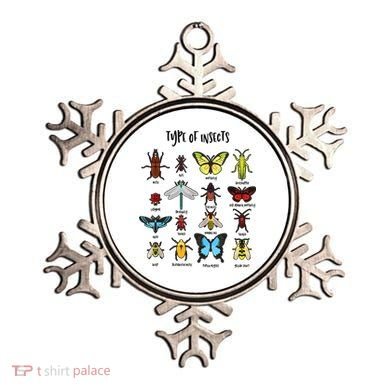 Types Of Insect Collector Bugs Entomology Bugs Beetle Biology Bug Ornament