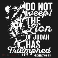 Tribe Of Judah Christian Lion Gift Revelation Bible Verse Women's Hoodie thumb 2