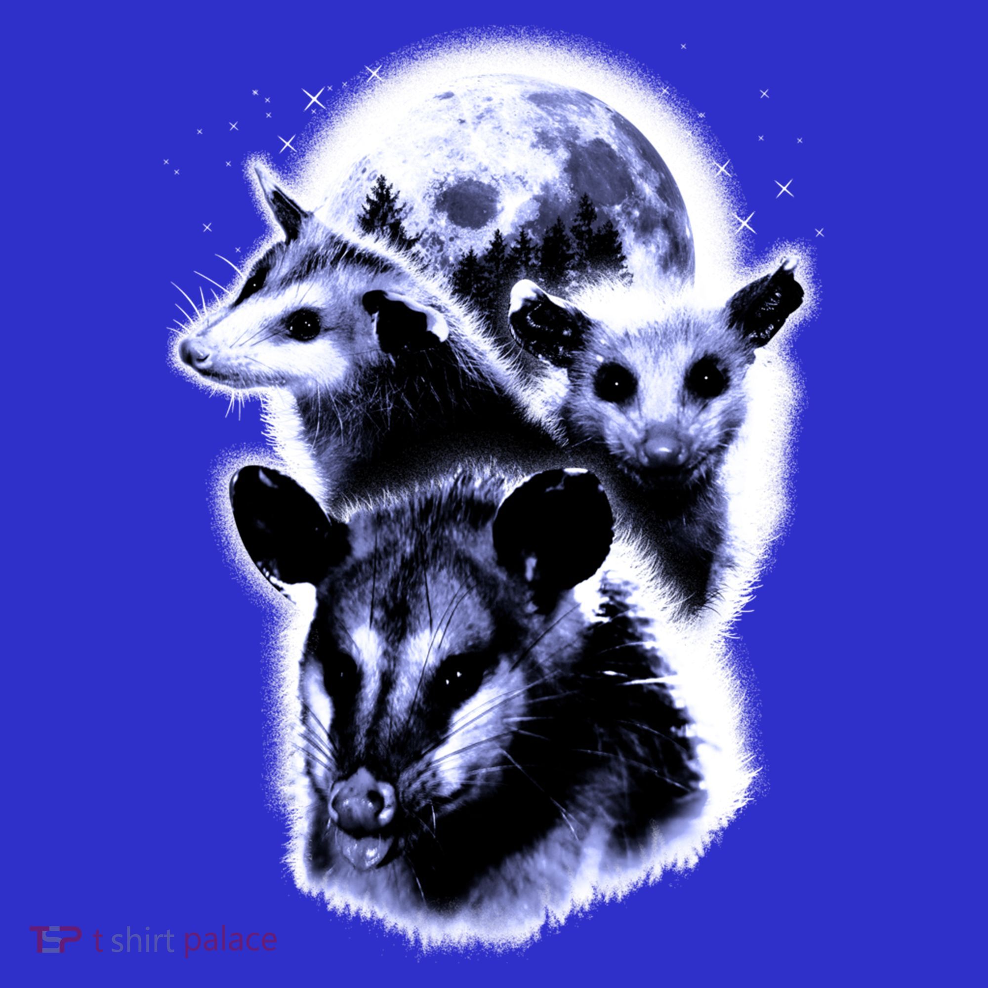 Three Opossum Moon With 3 Possums And Dead Moon Gift Tank Top