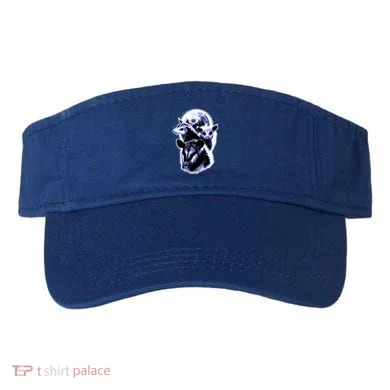 Visor