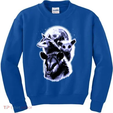 Kids Sweatshirt