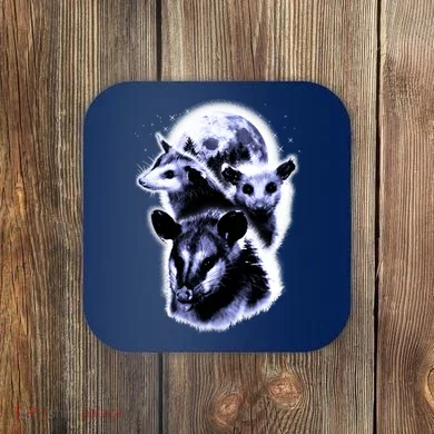Coaster