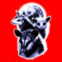 Three Opossum Moon With 3 Possums And Dead Moon Gift Santa Hat thumb 1