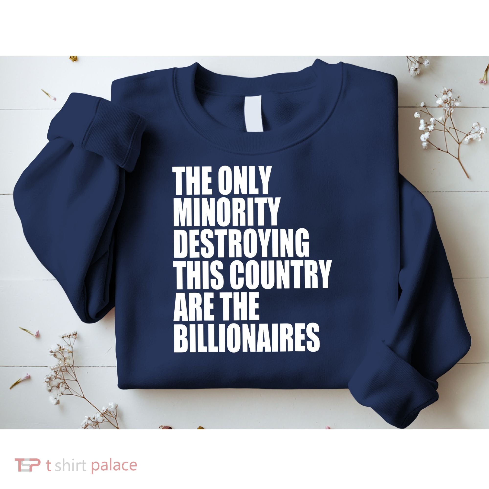 The Only Minority Destroying This Country Are Billionaires Sweatshirt