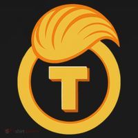 Trump Official Meme Coin Crypto President Hoodie thumb 7