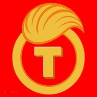 Trump Official Meme Coin Crypto President Santa Hat thumb 1