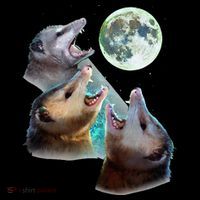 Three Opposum Moon With 3 Possums And Dead Moon Backpack thumb 2
