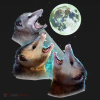 Three Opposum Moon With 3 Possums And Dead Moon Pajama Set thumb 2