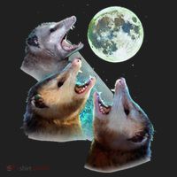 Three Opposum Moon With 3 Possums And Dead Moon Hat thumb 2