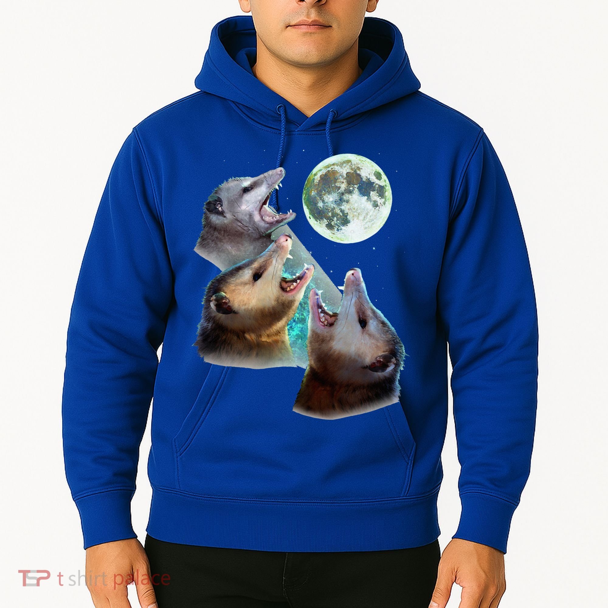 Three Opposum Moon With 3 Possums And Dead Moon Hoodie