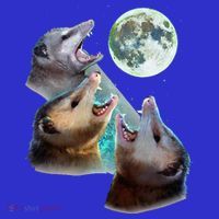Three Opposum Moon With 3 Possums And Dead Moon Long Sleeve Shirt thumb 2