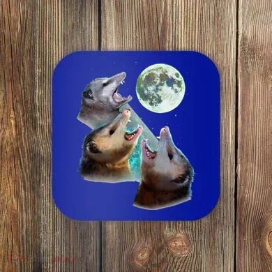 Coaster