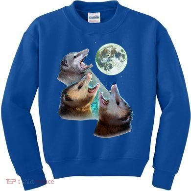 Three Opposum Moon With 3 Possums And Dead Moon Kids Sweatshirt