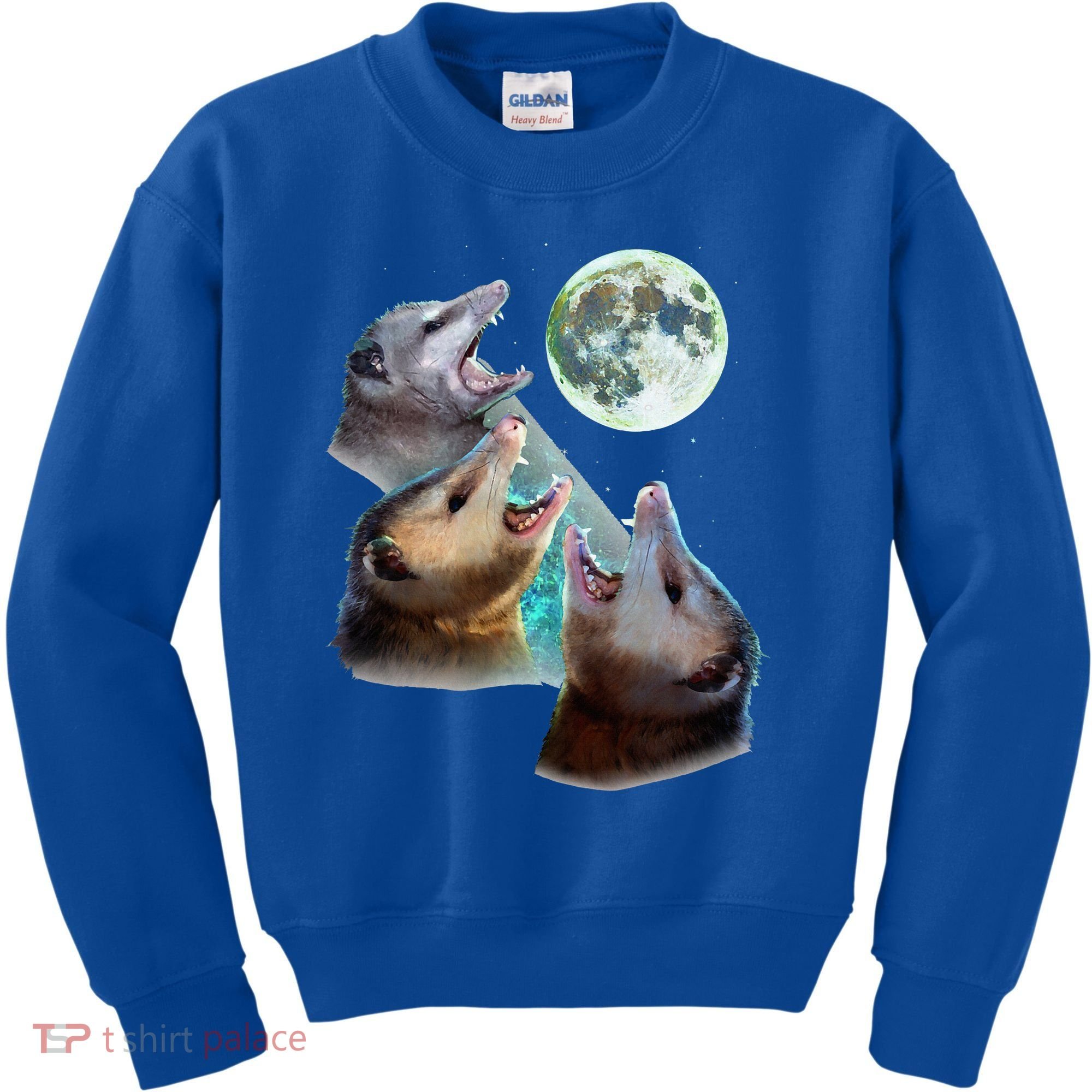 Three Opposum Moon With 3 Possums And Dead Moon Kids Sweatshirt
