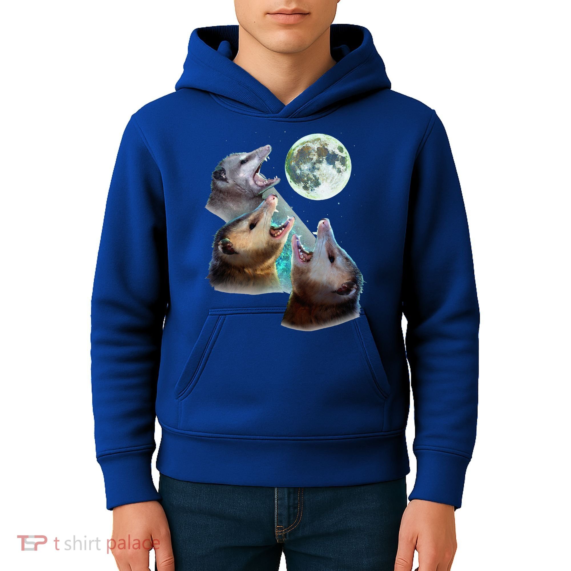 Three Opposum Moon With 3 Possums And Dead Moon Kids Hoodie