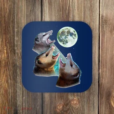 Coaster