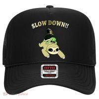 Too Fast Turtle Riding Sloth Hat thumb 0