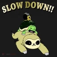 Too Fast Turtle Riding Sloth Kids T-Shirt thumb 4