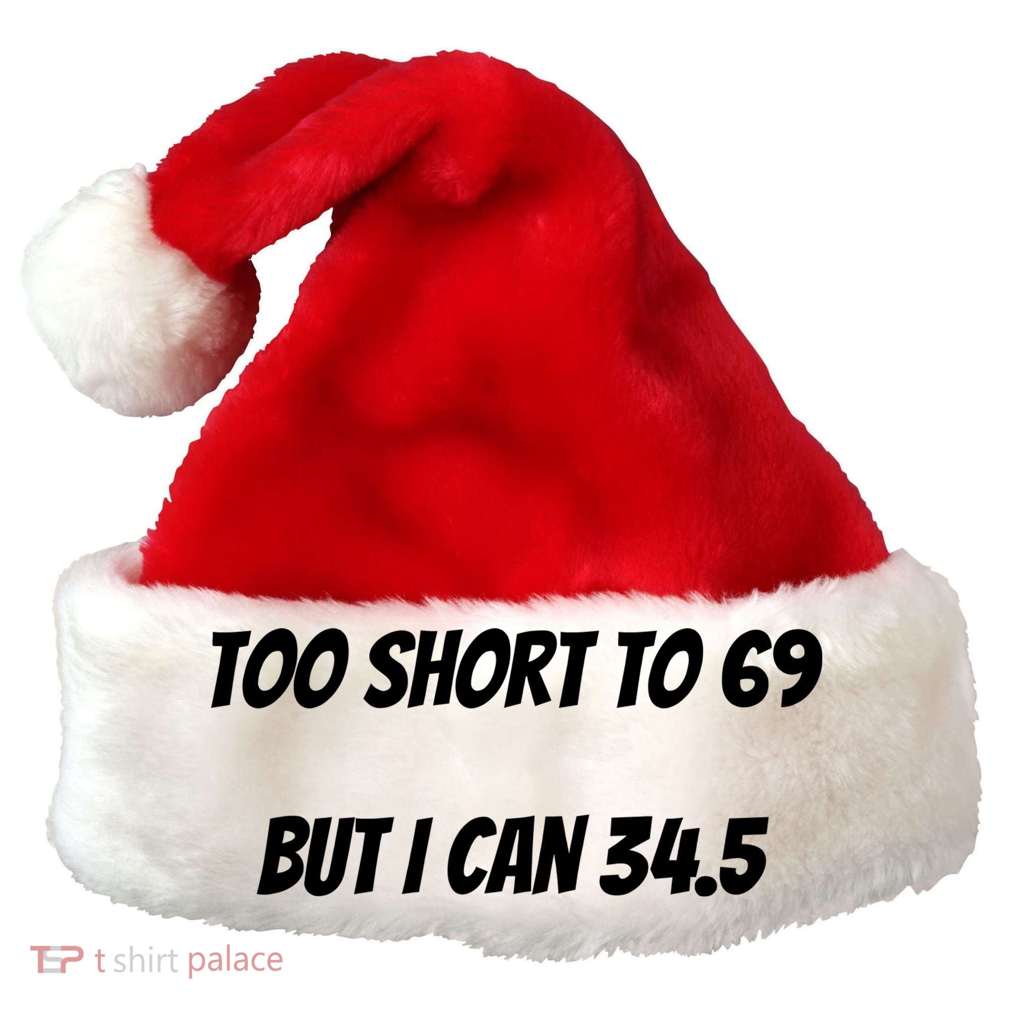 Too Short to 69 But I Can 34.5 Funny Santa Hat