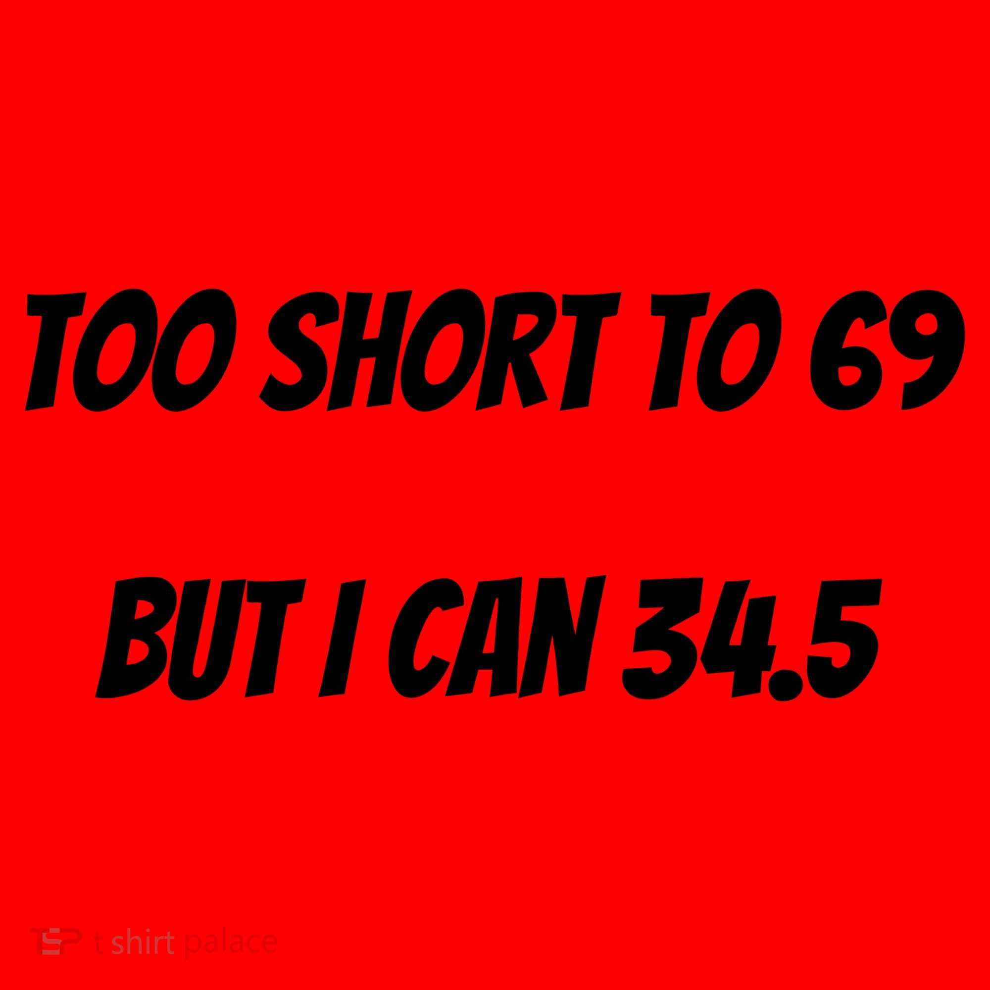 Too Short to 69 But I Can 34.5 Funny Santa Hat