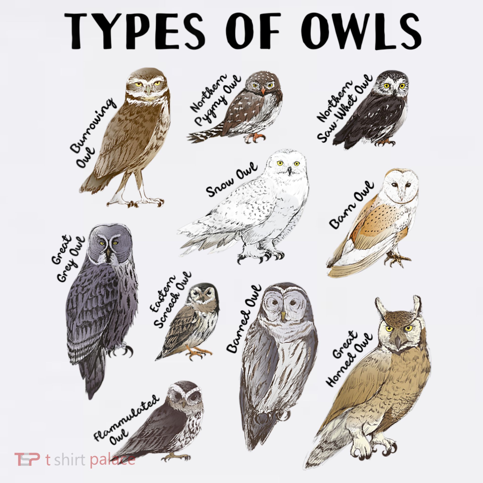 Types Of Owls Educational Collection Cute Owl Lover T-Shirt