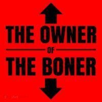 The Owner Of The Boner Funny Santa Hat thumb 1