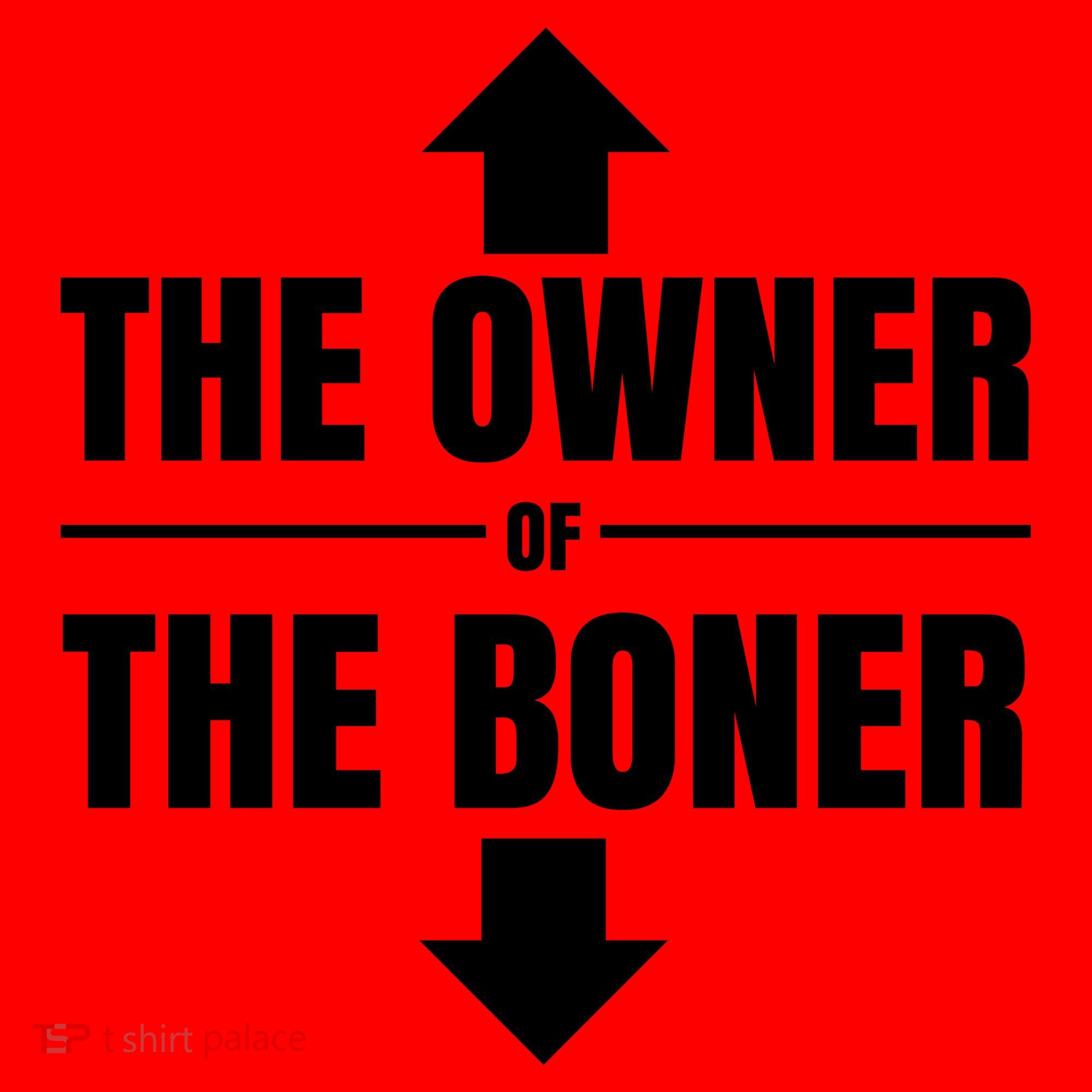 The Owner Of The Boner Funny Santa Hat