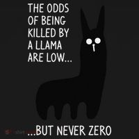 The Odds Of Being Killed By A Llama Are Low But Never Zero Women's Hoodie thumb 2