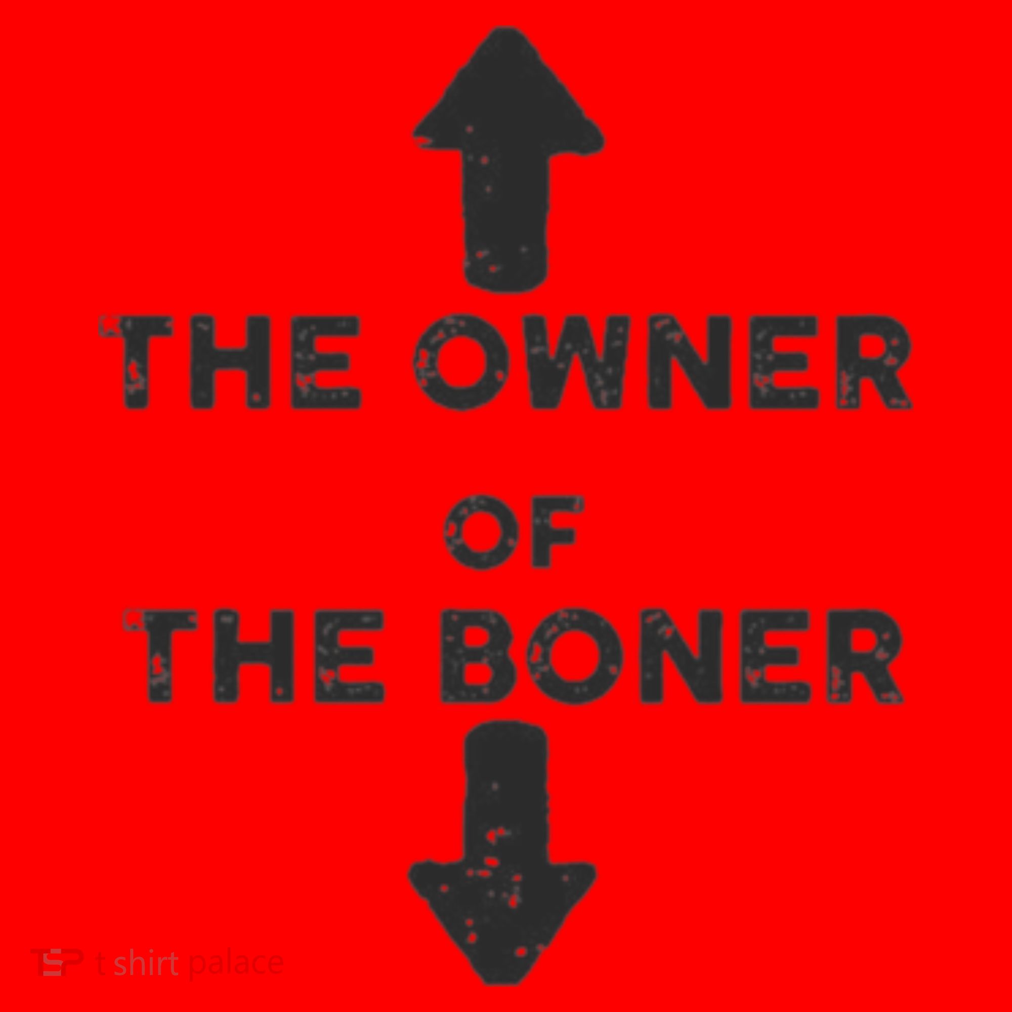 The Owner Of The Boner Santa Hat