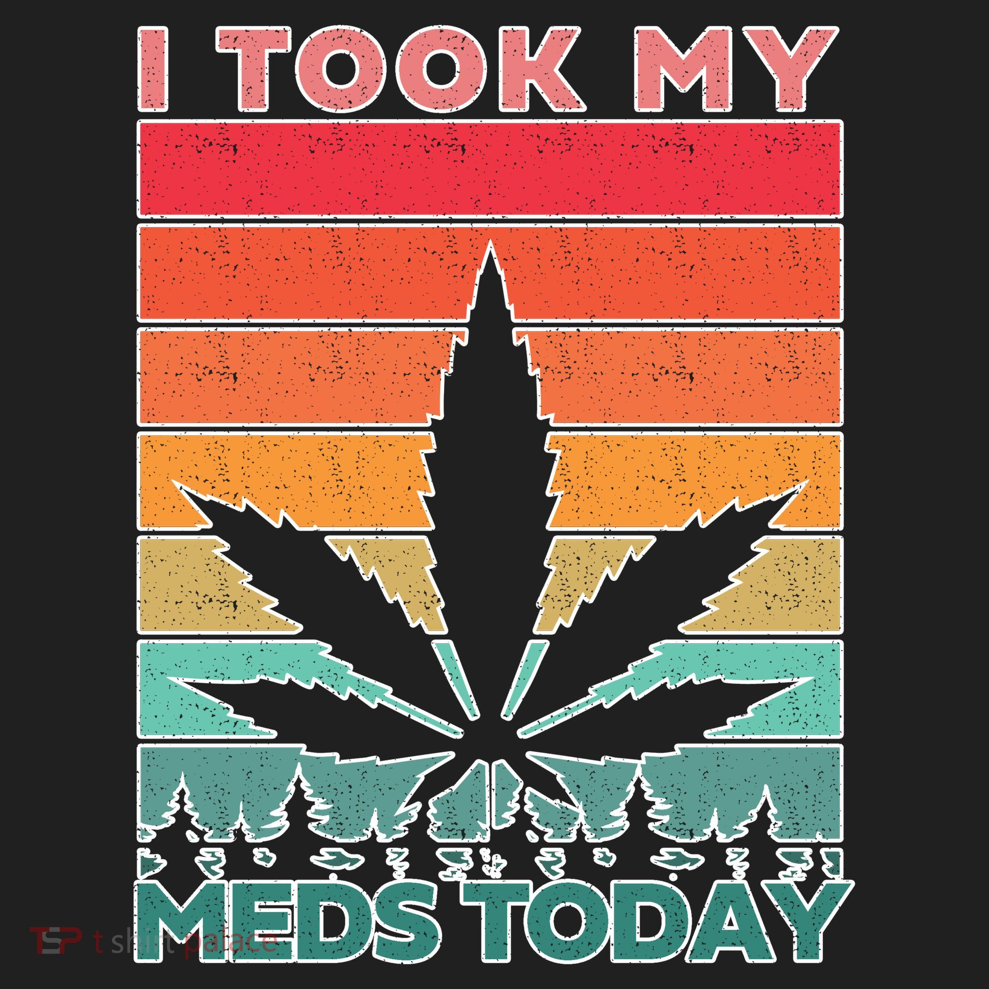 Took My Meds Today Medical Marijuana Beanie
