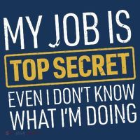 Top Secret Job Hoodie thumb 7