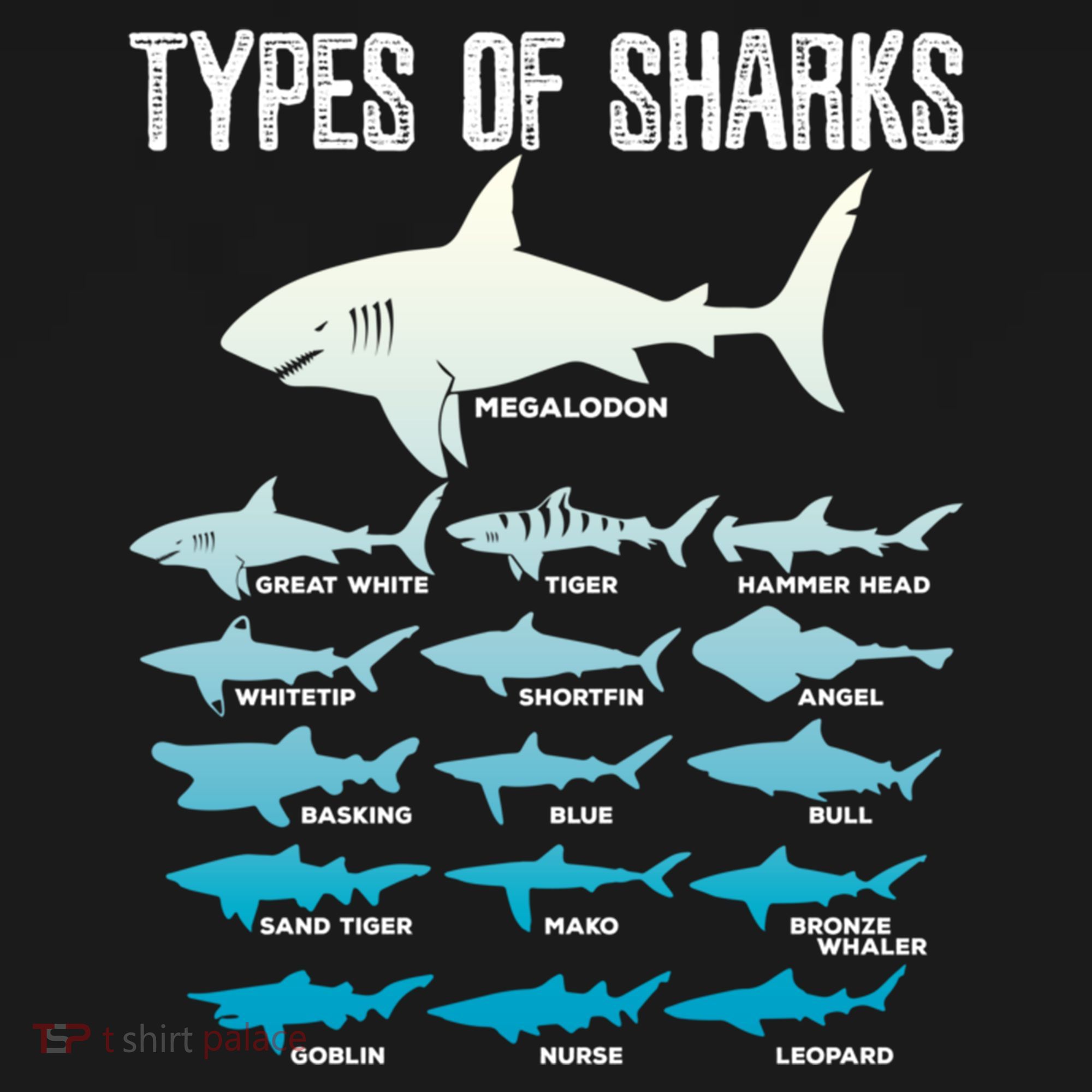 Types Of Sharks Marine Biologist 16 Shark Lovers Gift T-Shirt