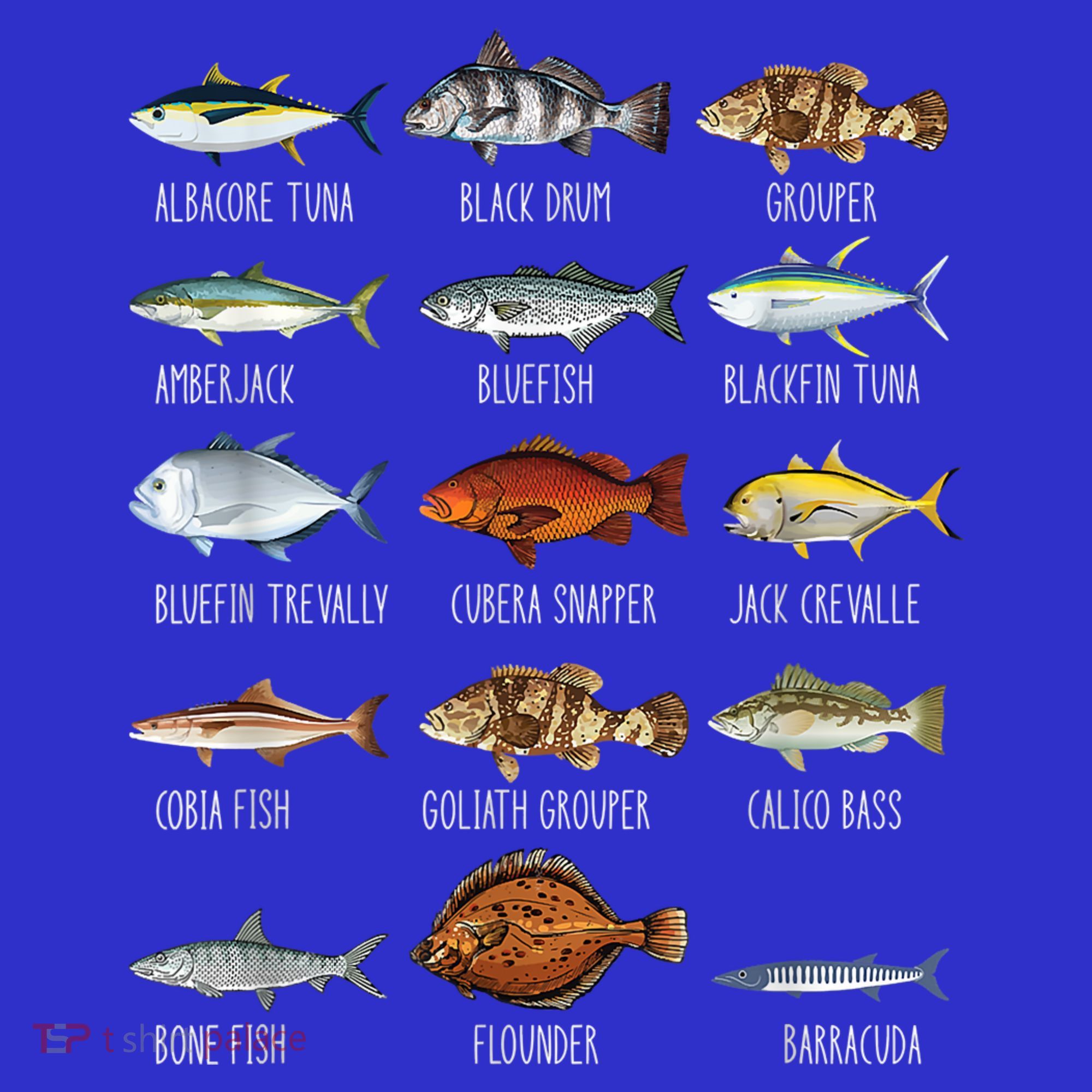 Types Of Saltwater Fish Species Biology Fishing Lover T-Shirt
