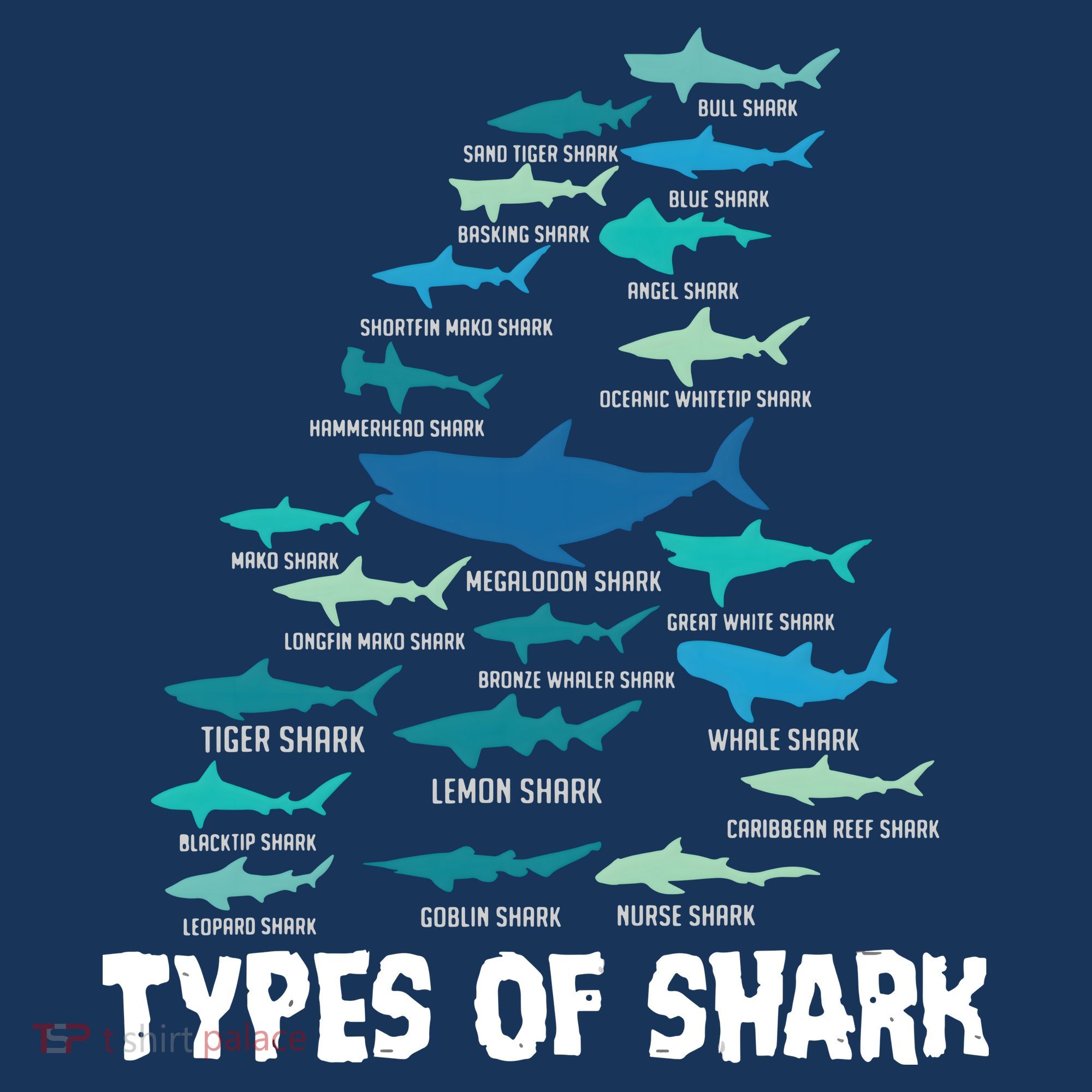 Types Of Shark Megalodon Great White Nurse Shark T-Shirt