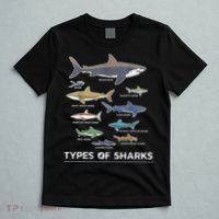 Types of Shark Megalodon Great White Nurse Shark T-Shirt thumb 5