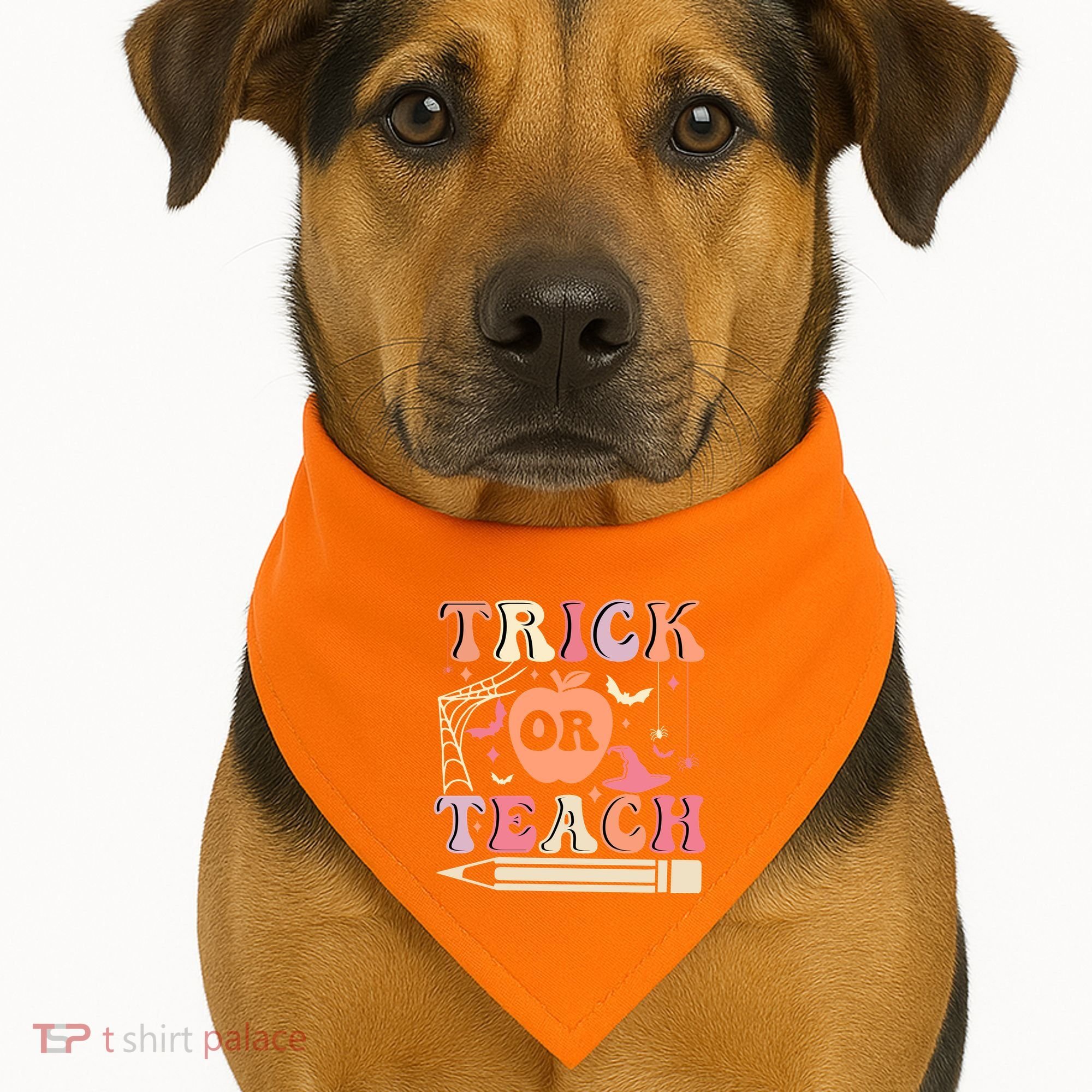 Trick Or Teach Funny Teacher Halloween USA-Made Doggie Bandana