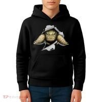 Tortoise Owner Turtle Tortoise Love Funny Tortoise Kids Hoodie thumb 4