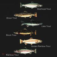 Types Of Trout Fish Species Collection Fishing T-Shirt thumb 7