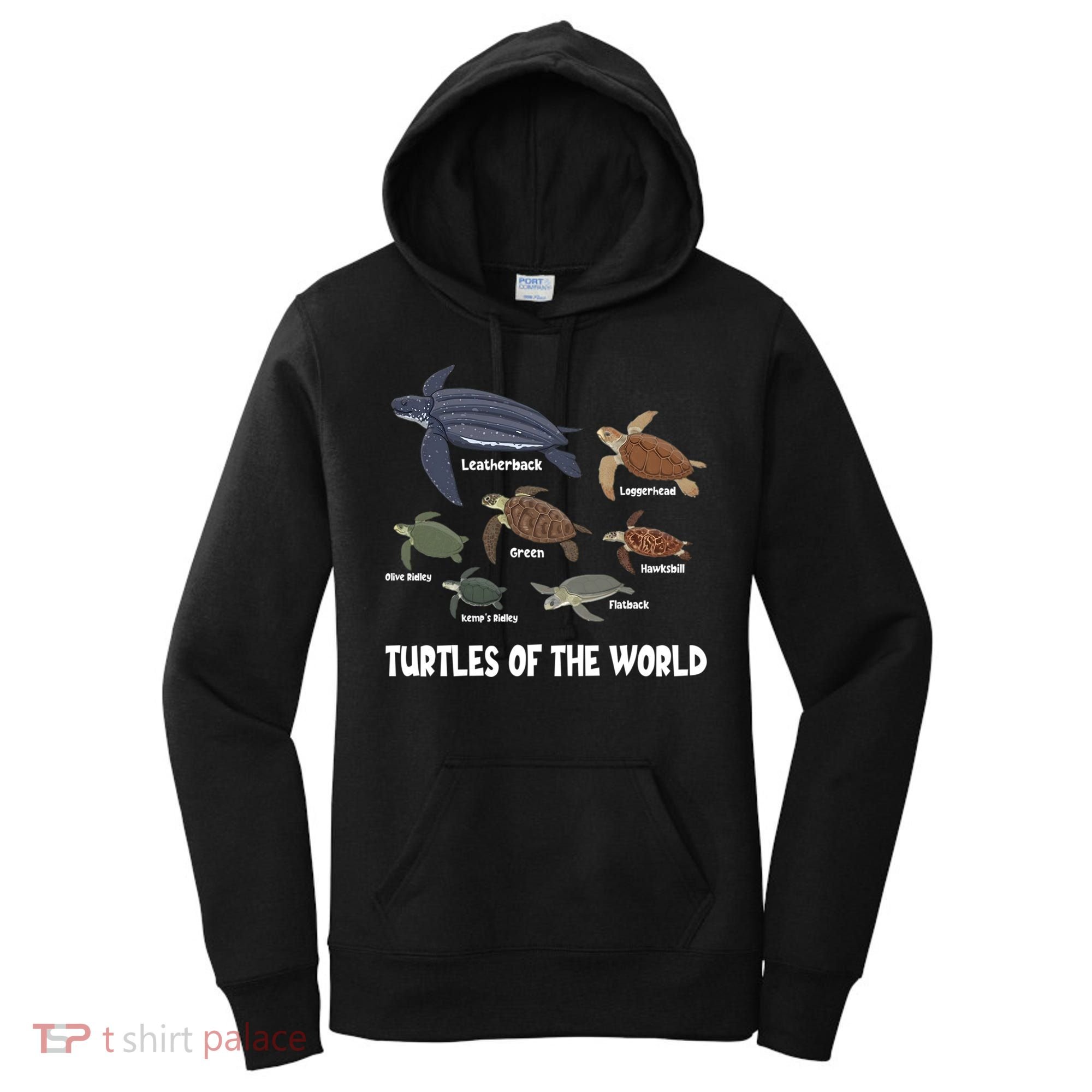 Turtles Of The World Celebrate Diversity Tortoise Sea Turtle Gift Women's Hoodie