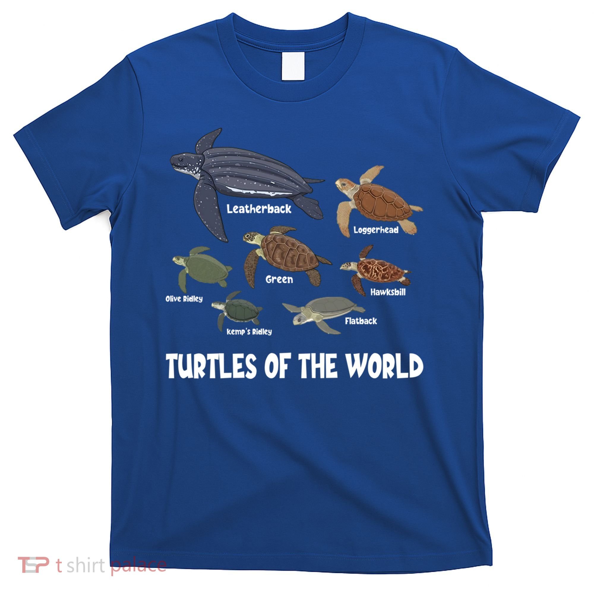 Turtles Of The World Celebrate Diversity Tortoise Sea Turtle Gift T-Shirt