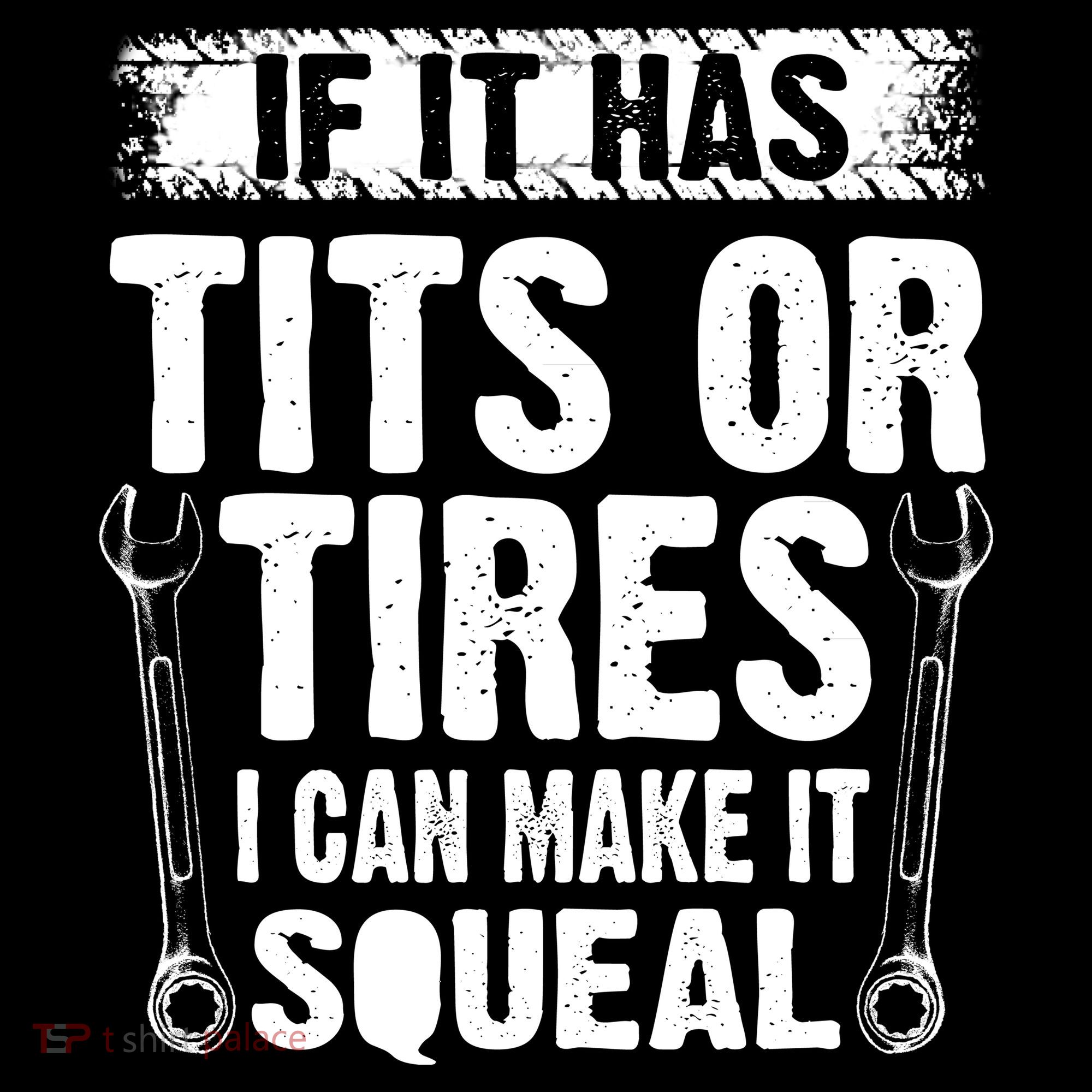 Tits Or Tires I Can Make It Squeal Women's Hoodie
