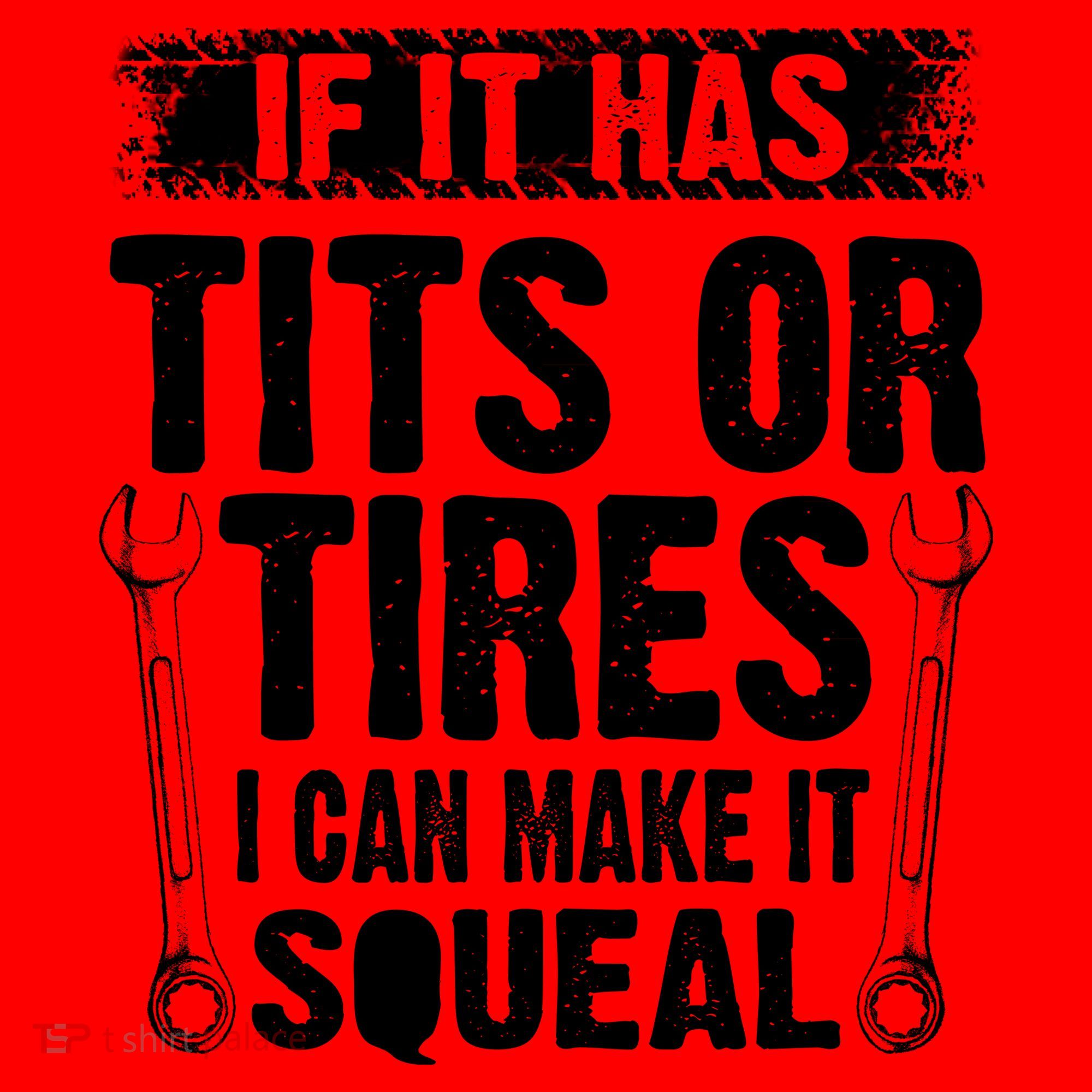 Tits Or Tires I Can Make It Squeal Santa Hat