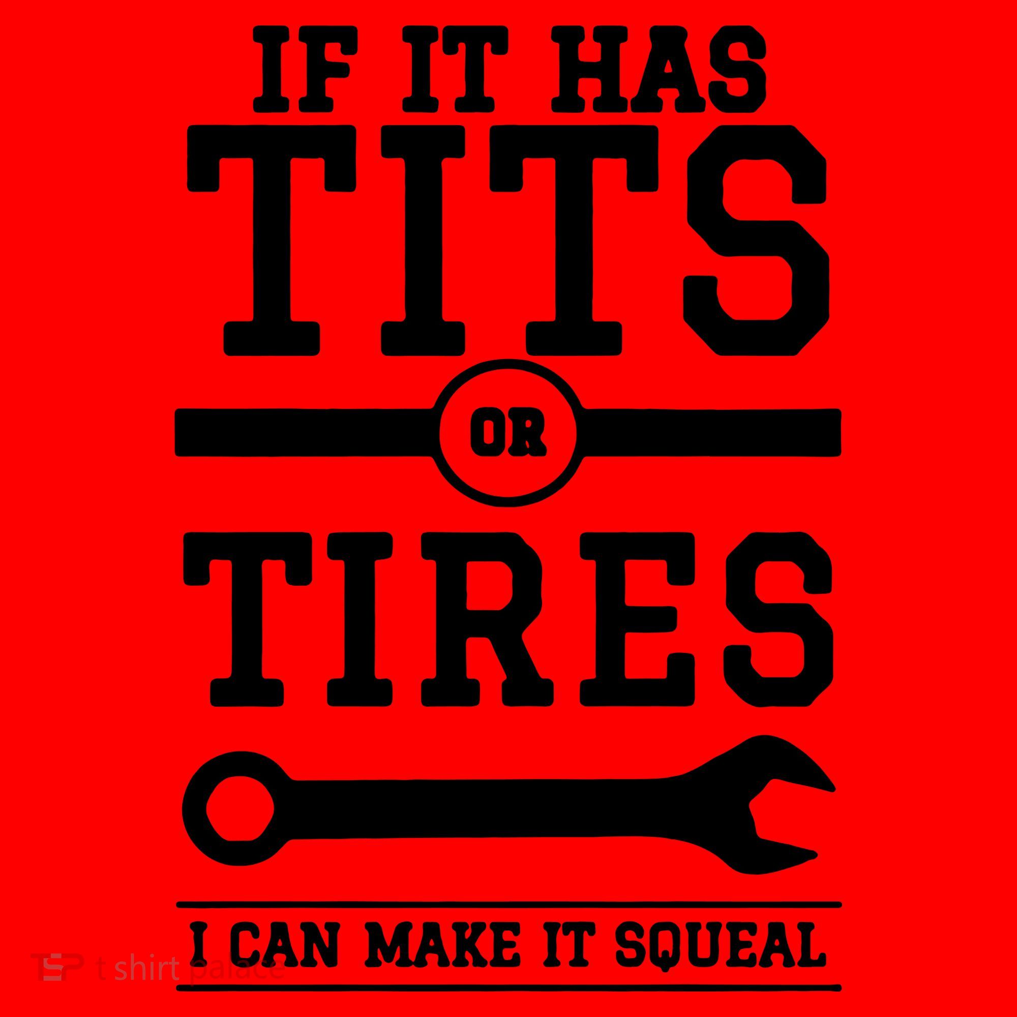 Tits Or Tires I Can Make It Squeal Santa Hat
