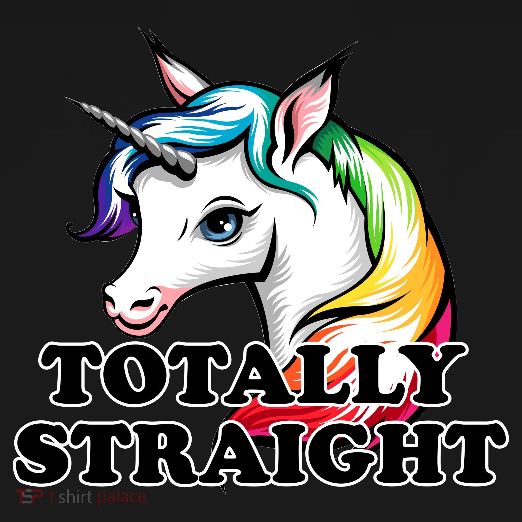 Totally Straight Unicorn Rainbow Pajama Set